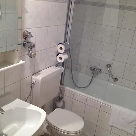 Hotel Alleenhof 3*